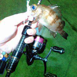 ひっさびさのライトゲーム！❤